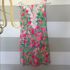 Gabby shift dress chatty shack